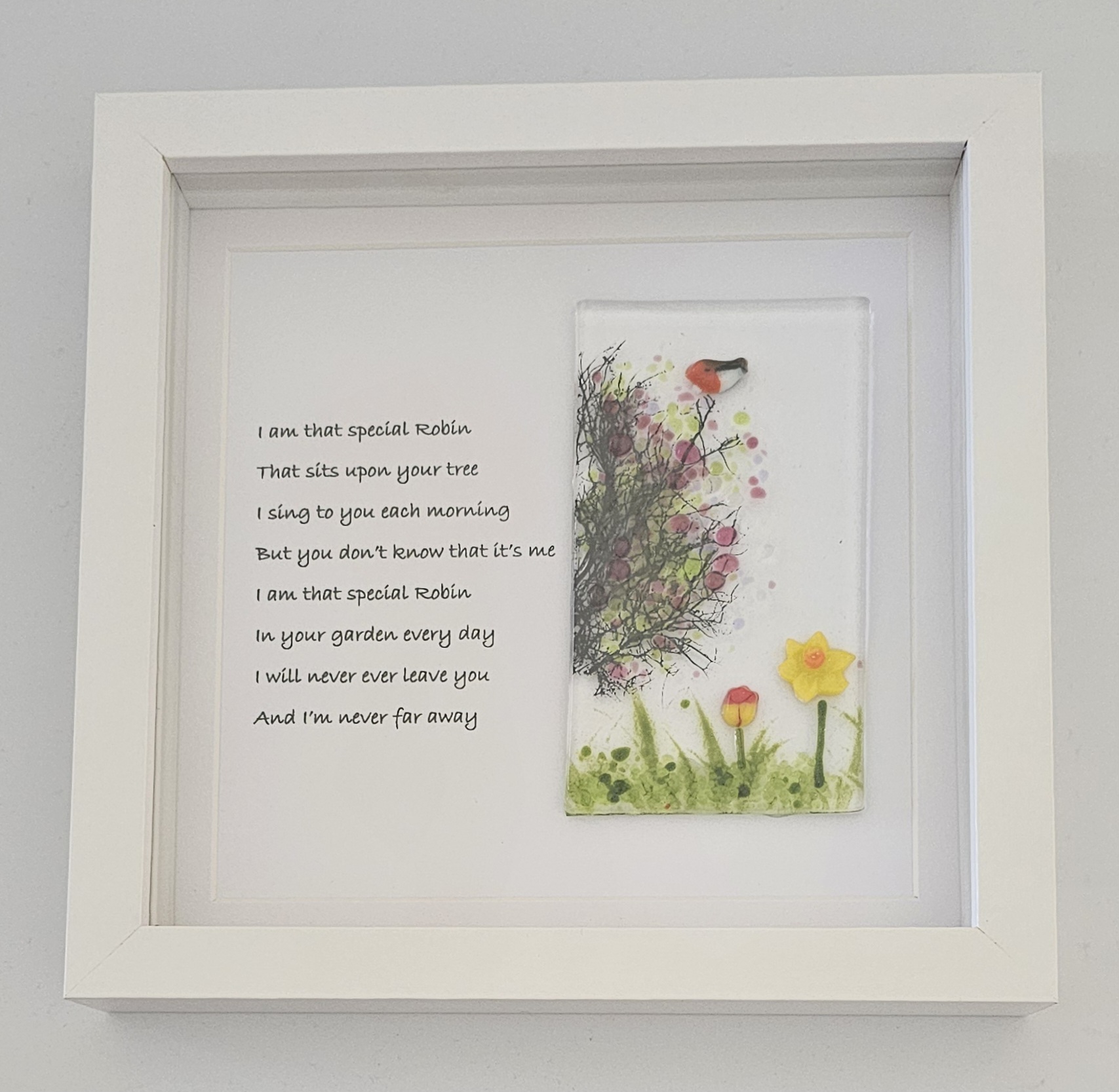 Special Robin Picture