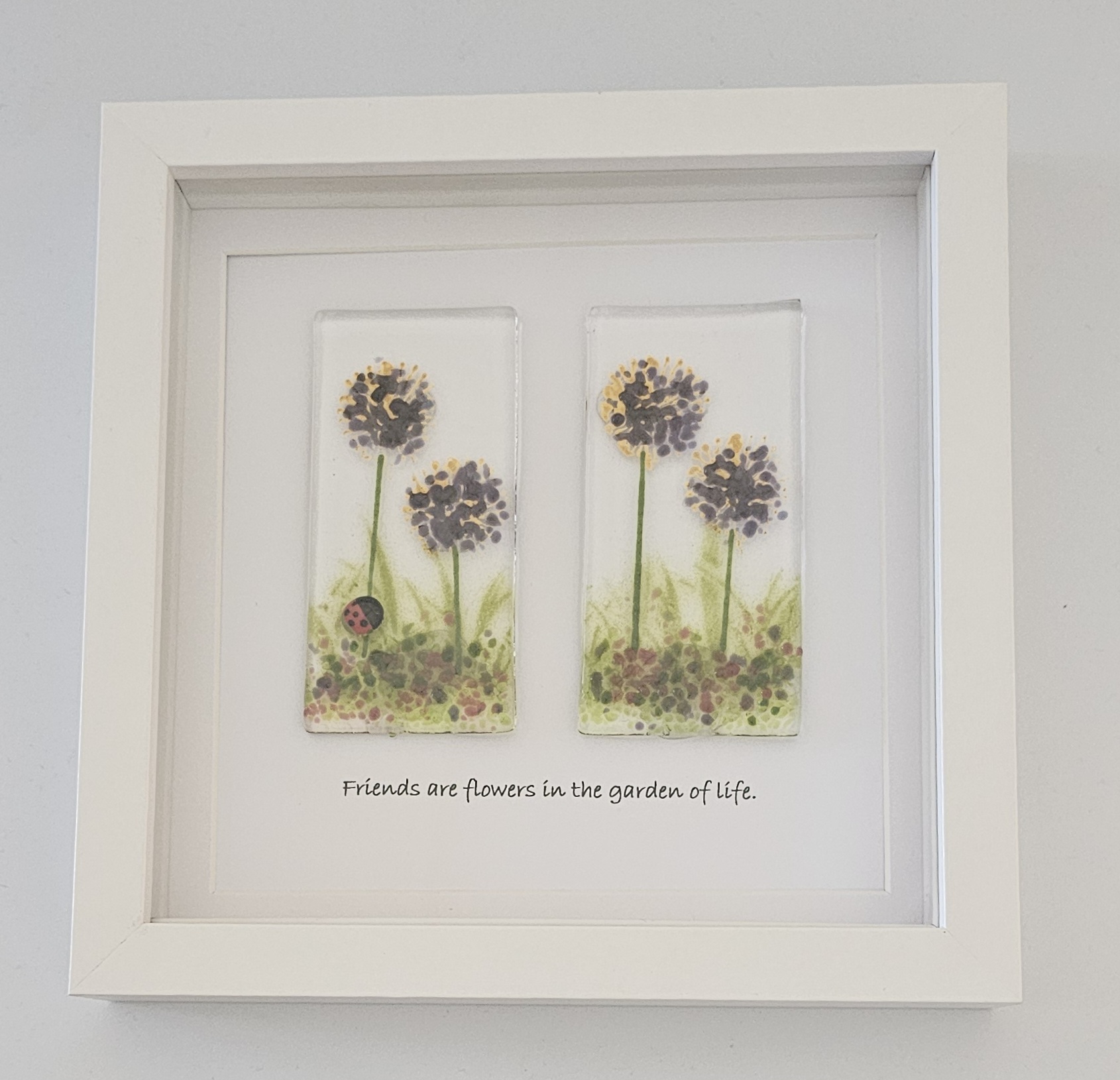 Allium Meadow Picture